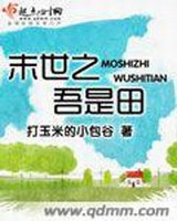 末世之吾是田小说封面
