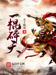 一棍碎天小说封面