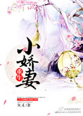 重生小娇妻小说封面