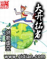 大开拓者小说封面