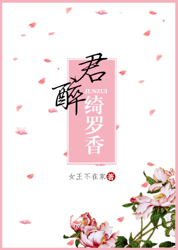倾城小佳人小说封面