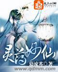 灵药妙仙小说封面