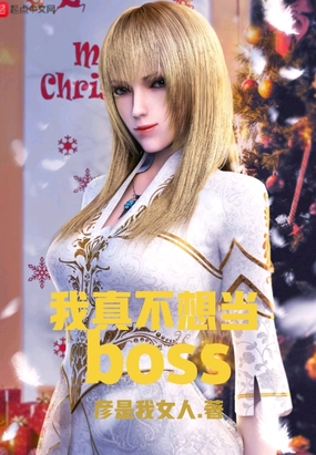 我真不想当BOSS小说封面