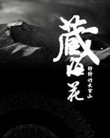 藏海花小说封面