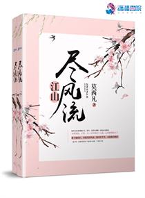 江山尽风流小说封面
