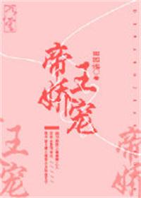 帝王娇宠小说封面