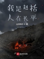 我是赵括，人在长平小说封面