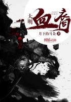 大明血裔小说封面