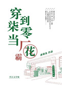 穿到七零当厂花小说封面