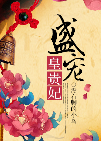 盛宠皇贵妃小说封面