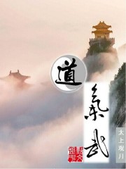 道气武小说封面