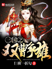 三国之双曹争雄小说封面