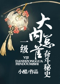 一级大内总管奋斗秘史小说封面