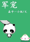 军宠小说封面