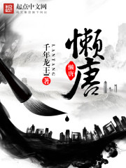 懒唐小说封面