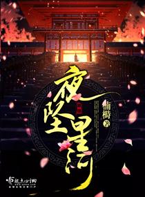 夜坠星河小说封面