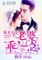 纵妻无度：老婆，乖一点！小说封面