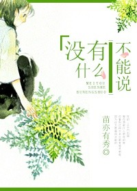 没有什么不能说小说封面