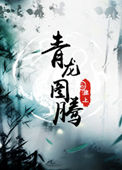 青龙图腾小说封面