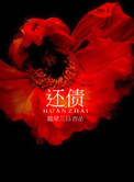 还债小说封面