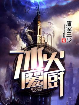 冰火魔厨小说封面