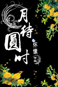 月待圆时小说封面