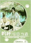 呜呼！佞臣当道小说封面