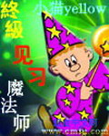 终极见习魔法师小说封面