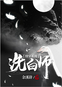 洗白师小说封面