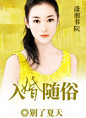 入婚随俗小说封面