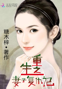 重生之妻子复仇记小说封面