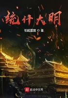 统计大明小说封面