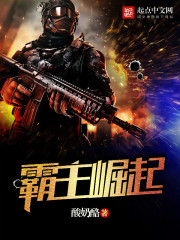 霸主崛起小说封面