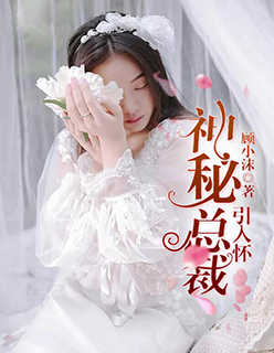 神秘总裁引入怀小说封面