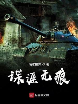 谍涯无痕小说封面