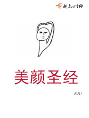 美颜圣经小说封面