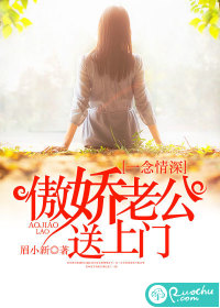 一念情深：傲娇老公送上门小说封面