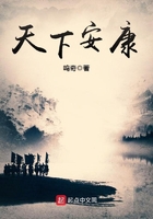 天下安康小说封面