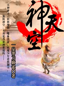 神天空小说封面