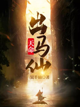 天命出马仙小说封面