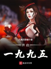 开启一九九五小说封面