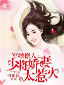 娇妻太惹火小说封面