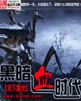 黑暗血时代小说封面