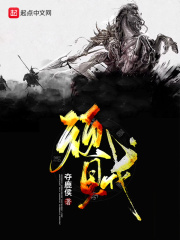 顽贼小说封面