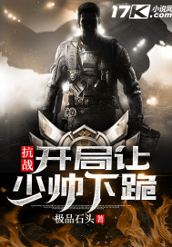 抗战之开局让少帅下跪小说小说封面
