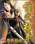 惟武独尊小说封面
