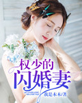 权少的闪婚妻小说封面