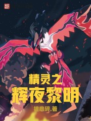 精灵之辉夜黎明小说封面