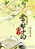 在仙界当厨子的日子小说封面
