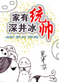 家有统帅，深井冰小说封面